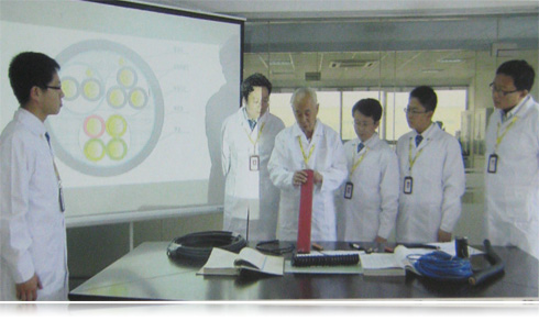 天津羞羞网站视频电缆国内国标电线品牌